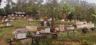 मौरीपालनमा वार्षिक ३५ लाख आम्दानी